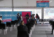 Buenos Aires Vacunate: La Provincia dispone vacunación libre para mayores de 50 años y embarazadas