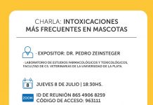 Charla gratuita: Intoxicaciones más frecuentes en mascotas