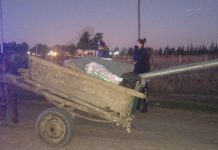 Maltrato animal: incautaron un caballo que tiraba de un carro