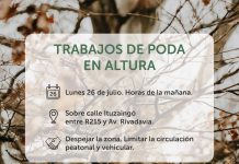 Trabajos de poda en altura