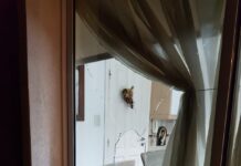 Cayeron los rompevidrios: tiraban piedrazos contra casas
