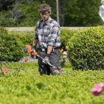 Jardinero