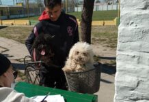 Vacunación antirrábica por los barrios