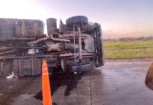 Otro accidente en la rotonda de Los Bosquecitos: Volcó un camión cargado con carne