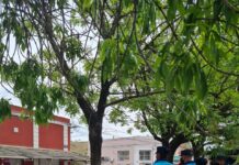 Cadetes policiales realizaron su práctica profesionalizante durante operativo de interceptación vehicular