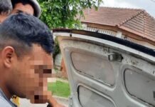 Iban en un auto sin VTV, con marihuana y perros galgos apiñados en el baúl.