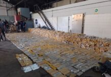 Policías de Brandsen participaron de la incineración de droga en San Isidro