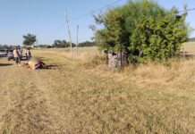 Volcó un auto en la Ruta 215: sus ocupantes resultaron ilesos