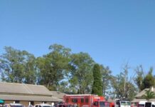 Bomberos de Brandsen asistirán al combate de los incendios forestales en Corrientes