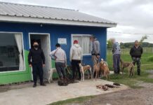 Demoraron a 4 galgueros de Berisso que habían entrado a un campo de Jeppener. Les secuestraron liebres y una mulita