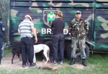 Vinieron de la Plata en 4×4 ingresaron a cazar en varios campos y fueron demorados