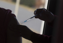 La vacuna argentina contra el coronavirus iniciará la Fase 1