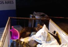 Un hombre en estado de ebriedad se peleó con su pareja tomó su carro y salió a la Ruta 210 de noche y con niebla