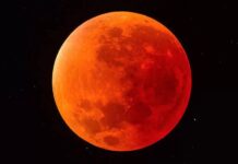 Eclipse de Luna de Sangre, 15 de mayo 2022: dónde verlo mejor en la Argentina
