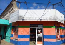 Ingresaron a una carnicería céntrica por la madrugada y se llevaron dinero y un costillar