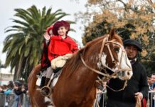 Celebración por el Día de la Bandera en Domselaar