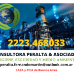 Consultora Peralta