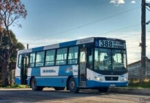 Colectivos: para las empresas, el boleto en el AMBA debería costar 300 pesos