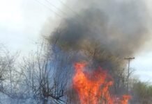 Incendio sobre Ferrari en cercanías al puente: fue controlado por Bomberos