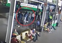 VIDEO: Una bala perdida llegó a la Terminal de La Plata y golpeó a una mujer