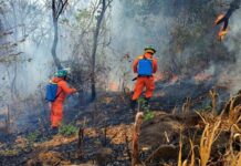 En medio de la sequía, los Bomberos de San Vicente en alerta por incendios