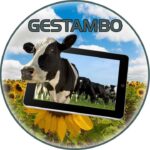 LogoG