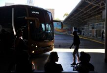 El Gobierno desregula el transporte y así impactará en los servicios de micros