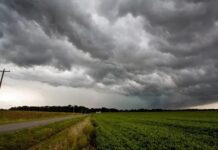 Alerta amarilla por tormentas en Brandsen y Jeppener
