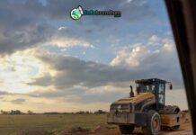 Avanzan obras en rutas y caminos bonaerenses: ¿cómo favorece esto a Brandsen?