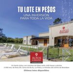 altos23