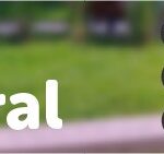 muniheader