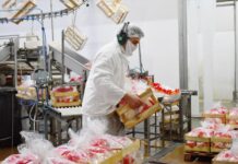 Visita a la planta Suravic