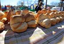 Oliden: en septiembre llega la 9º Fiesta de la Galleta de Campo