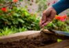La comuna realizará una jornada de huerta comunitaria
