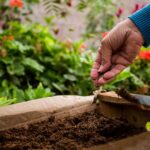 La comuna realizará una jornada de huerta comunitaria