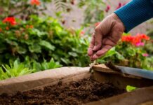 La comuna realizará una jornada de huerta comunitaria