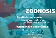 Información sobre el área de Zoonosis Municipal