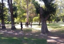 Chascomús: Se encontró a un menor fallecido en inmediaciones de la laguna