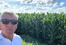 Fabián Jáuregui Lorda: “Busco avanzar un paso y luego consolidarlo”