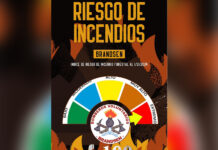 Informa Bomberos Voluntarios: extremo riesgo forestal en la Región