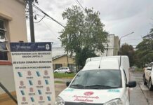 Arresto por Hurto de Vehículo en Brandsen