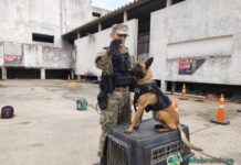 La División K9 canina de General Rodríguez se presentó en Brandsen