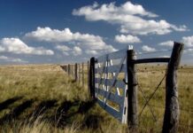 CARBAP vuelve a la carga contra el impuesto inmobiliario rural