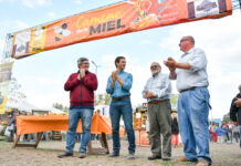 San Vicente: 10º Fiesta Regional de la Miel. Hicimos una recorrida! te dejamos los videos y fotos.