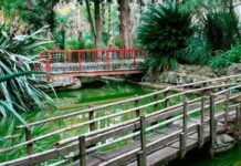 Cuál es la aldea japonesa que está cerca de Brandsen y es perfecta para una escapada