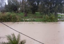Carta de Lectores: Problemas de Inundación en Calle 13 entre Ruta 215 y 121