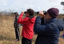 Ecológicos descubren especies nunca antes vistas en el Paso de Piedra