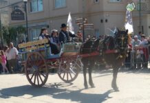 Festival del Carruaje sobre Calle Rivadavia. transmisión en vivo y todas las imágenes