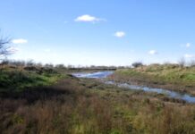 El domingo 22 se realizará una caminata por el Arroyo González