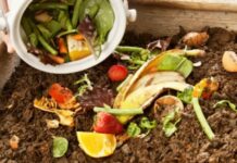 La Municipalidad realizará un taller de compost
